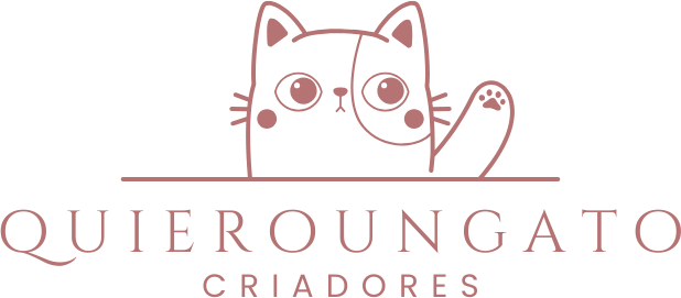 quieroungato